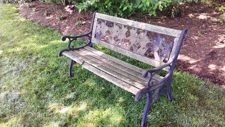 bench_before